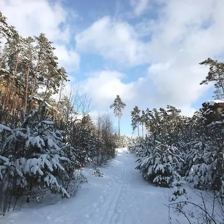 Вилла Wellness